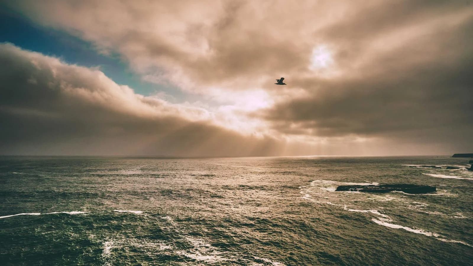 Wanneer naar een logopedist? Signalen per leeftijd