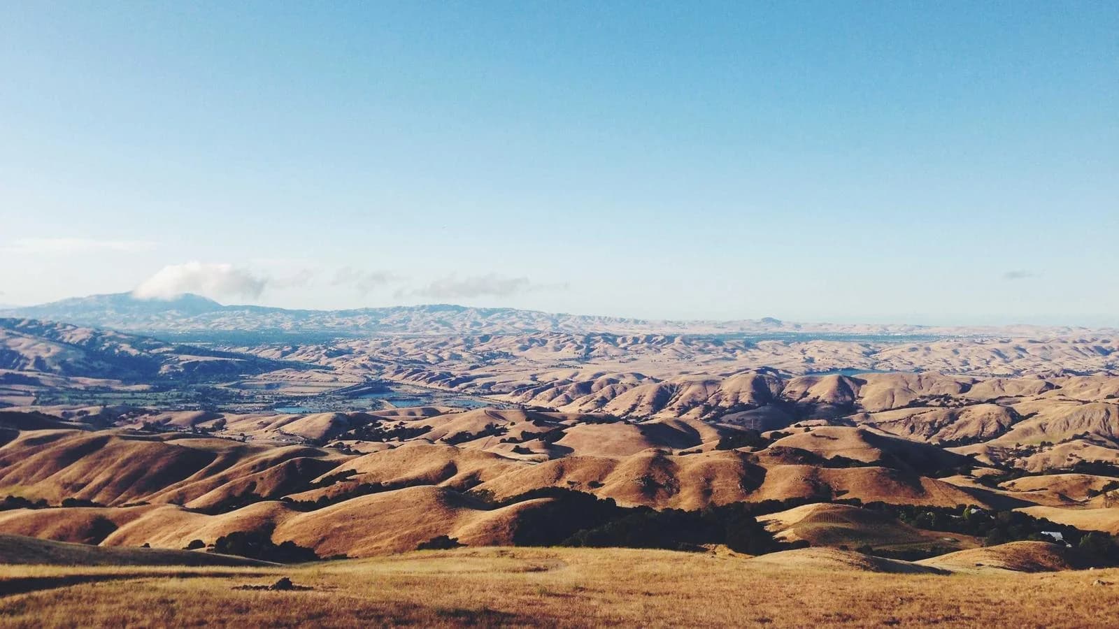 Wat is logopedie? Complete uitleg over het vakgebied